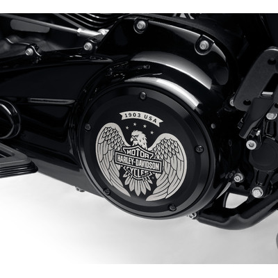 Eagle Bar &amp; Shield Derby Cover