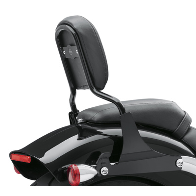 Low Mini-Medallion Style Sissy Bar Upright