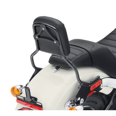 HoldFast Sissy Bar Upright - Standard Height - Gloss Black