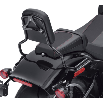 HoldFast Sissy Bar Upright - Standard Height - Gloss Black