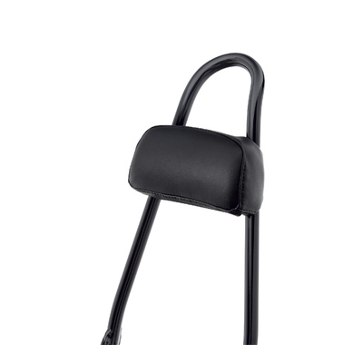 PASSENGER BACKREST PAD, 21 SI