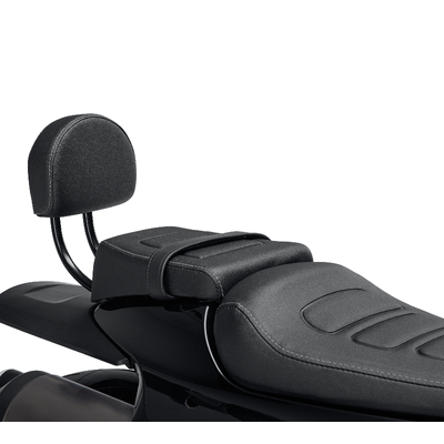 Passenger Backrest Kit