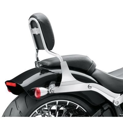 Low Mini-Medallion Style Sissy Bar Upright