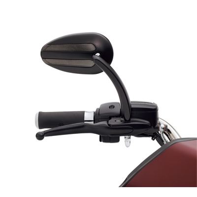 Mirror with Auxiliary Running Light and Directional Indicator