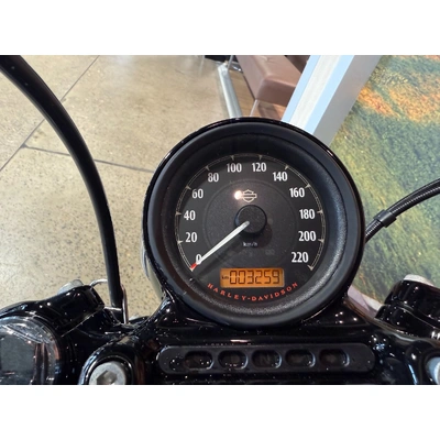 2020 Harley-davidson 1200CC XL1200XS FORTY-EIGHT SPECIAL CRUISER