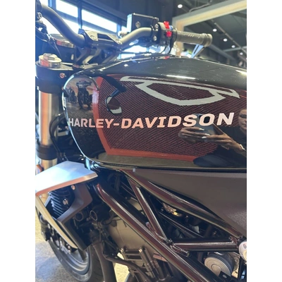 2024 Harley-davidson 350CC HD350-10 H-DX X350 CRUISER