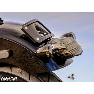 ProBEAM Low Profile LED Tailight. Smoke Lens &amp; Number Plate Window. Fits Most 1999up Models
