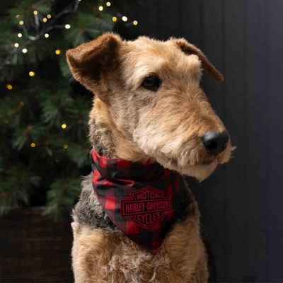 Harley-Davidson Pet Bandana - Plaid - L/XL