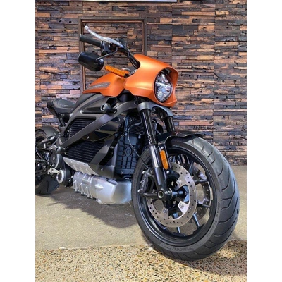 2020 Harley-davidson ELECTRIC LIVEWIRE Road