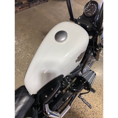 2014 Harley-davidson 883CC XL883 IRON 883 CRUISER