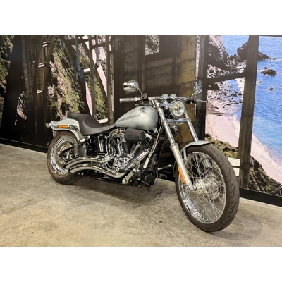 2013 Harley-davidson 1700CC FXST SOFTAIL STANDARD CRUISER