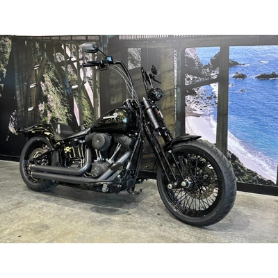 2009 HARLEY-DAVIDSON 1600CC FLSTSB SOFTAIL CROSS BONES CRUISER