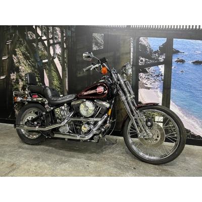 1989 HARLEY-DAVIDSON 1340CC FXSTS SPRINGER SOFTAIL CRUISER