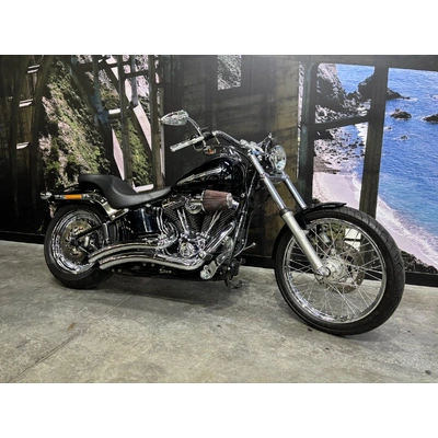 2015 Harley-davidson 1700CC FXST SOFTAIL STANDARD CRUISER