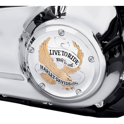 Live to Ride Derby Cover