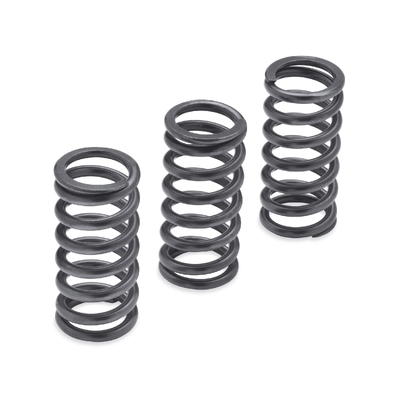 Milwaukee-Eight Engine Clutch Springs - 1275N
