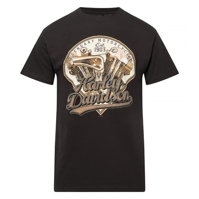 Harley-Davidson Mens Double Header Dealer Tee - Black