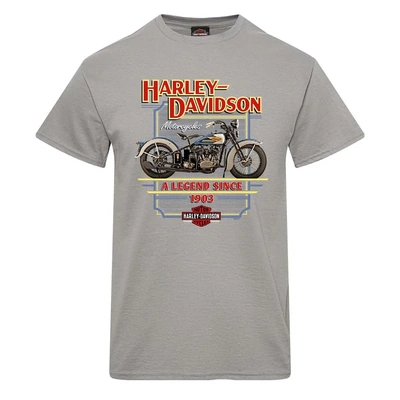 Harley-Davidson Mens Classic Dealer Tee - Grey
