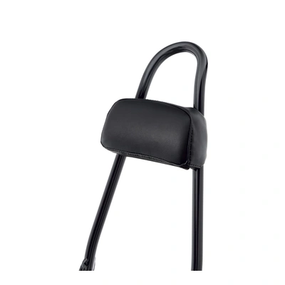 PASSENGER BACKREST PAD, 21 SI