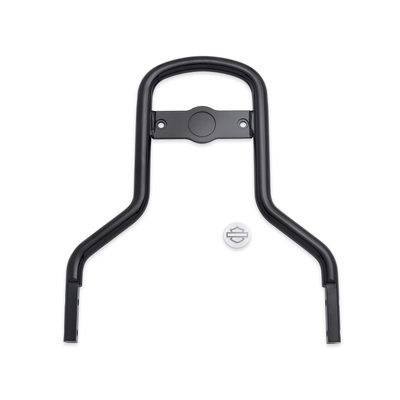 Low Mini-Medallion Style Sissy Bar Upright