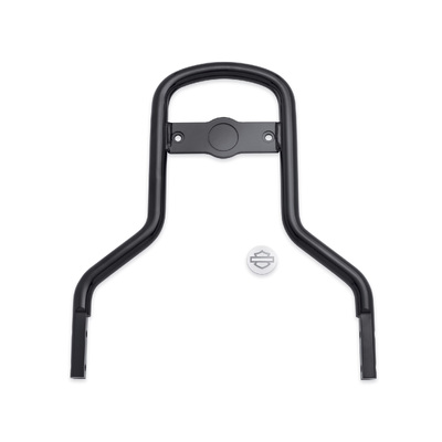 Low Mini-Medallion Style Sissy Bar Upright