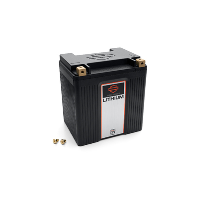 Lithium LiFe 8Ah Battery
