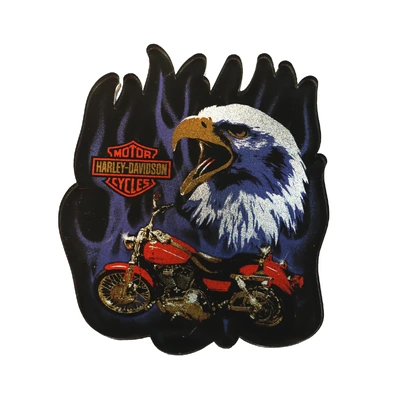 Faded Glory Acrylic Magnet - Multi