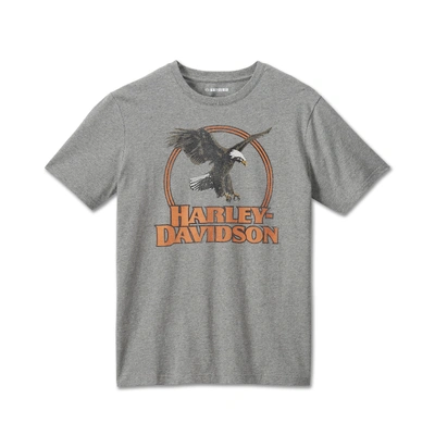Harley-Davidson Mens Monument Valley Tee - Heather Grey