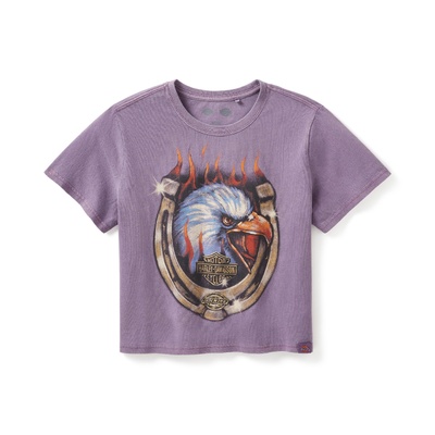 Womens Dickies x H-D Flaming Eagle Boxy Crop Tee - Jam
