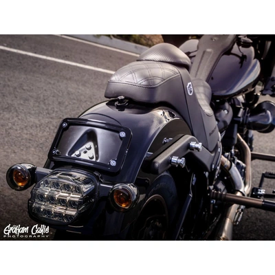 ProBEAM Low Profile LED Tailight. Smoke Lens &amp; Number Plate Window. Fits Most 1999up Models