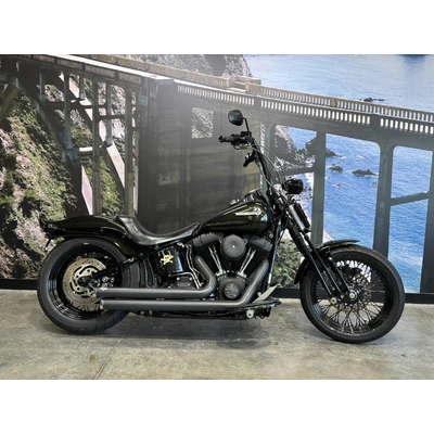 2009 HARLEY-DAVIDSON 1600CC FLSTSB SOFTAIL CROSS BONES CRUISER
