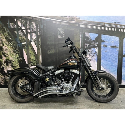 2009 HARLEY-DAVIDSON 1600CC FLSTSB SOFTAIL CROSS BONES CRUISER